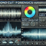 Diamond Cut Forensics Audio Laboratory 11.4 Download